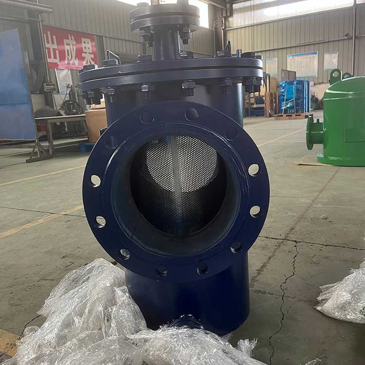 籃式過(guò)濾器HY-CLS-250-1