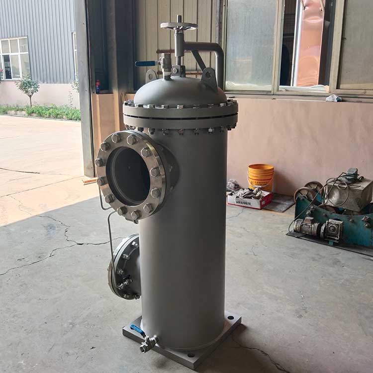 DN250-PN16過濾器-(4)