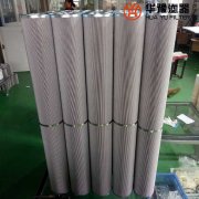 華豫生產電廠西德福雙聯(lián)管路濾芯LS003L10B